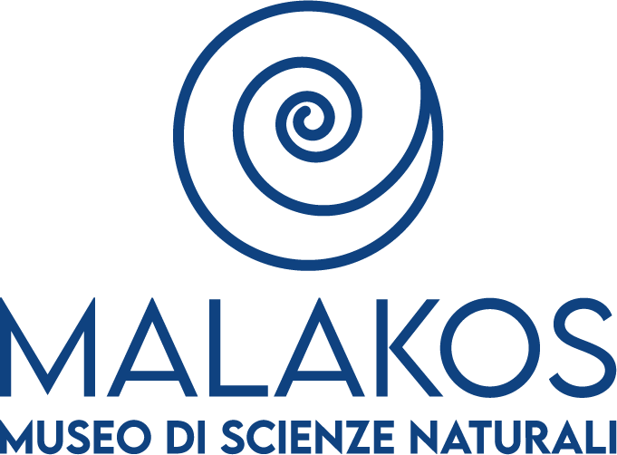 Malacos Museo Scienze Naturali